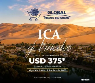 ICA Y VIÑEDOS